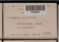 Image Associated With the Occurence